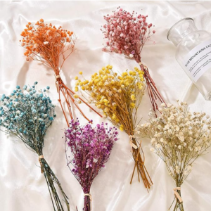 flores secas